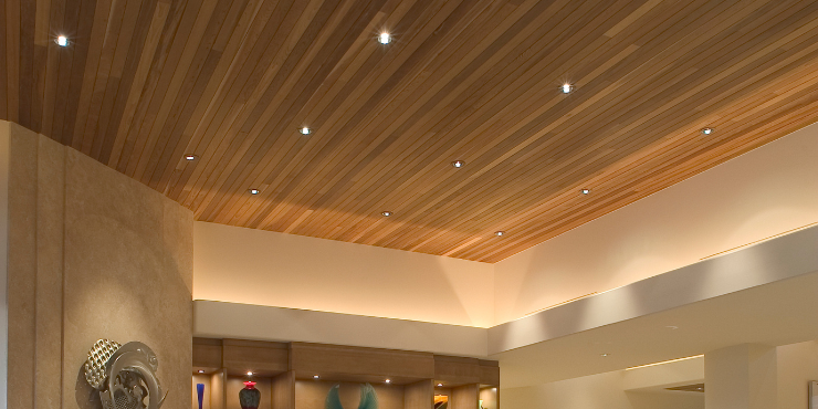 Ceiling Design 1
